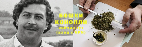 трава Вязьма