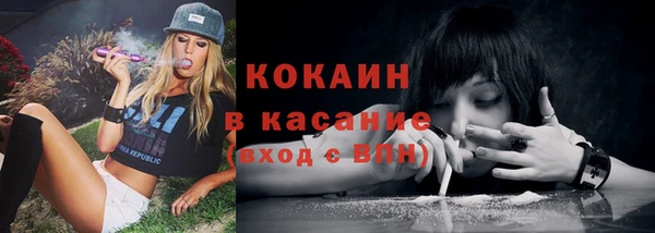 трава Вязьма