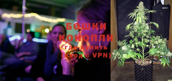 трава Вязьма